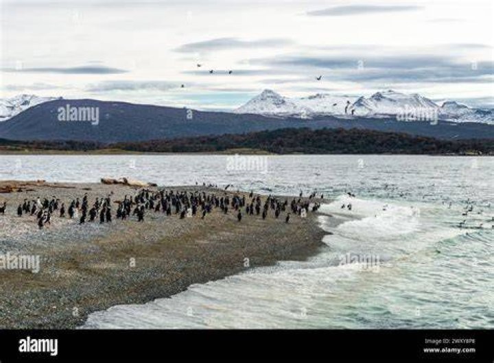 Is the southern tip of South America cold?