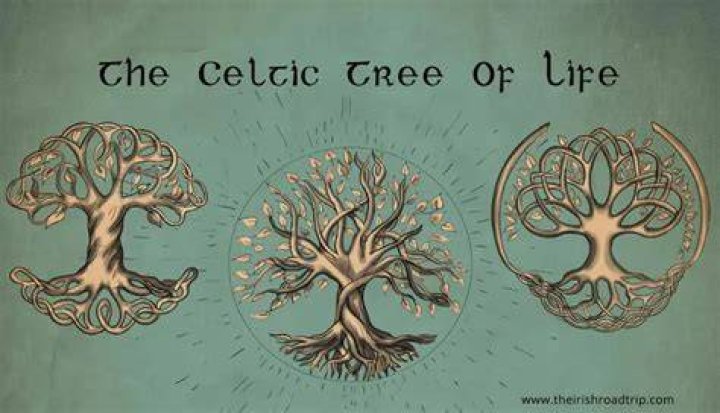 Is the tree of life a metaphor?