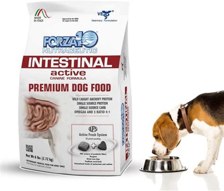 Is there a gluten free dog food?