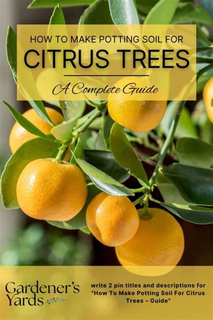 Is urine good for citrus trees?