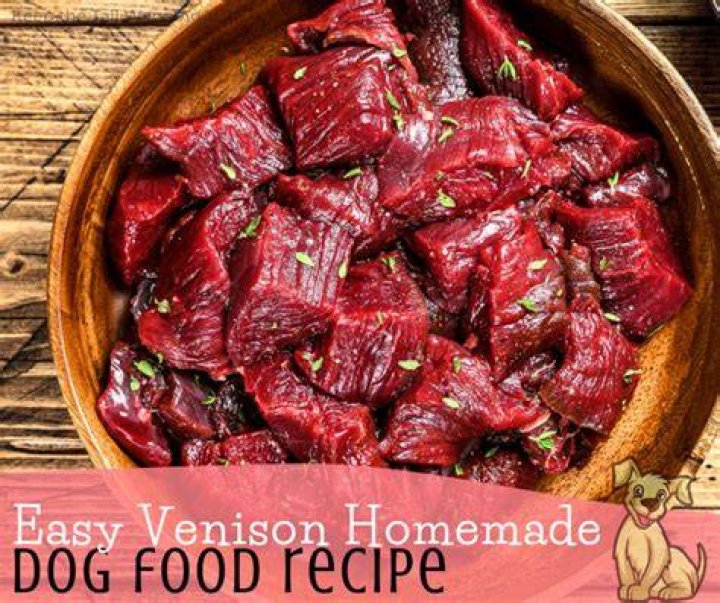 Is venison easy for dogs to digest?
