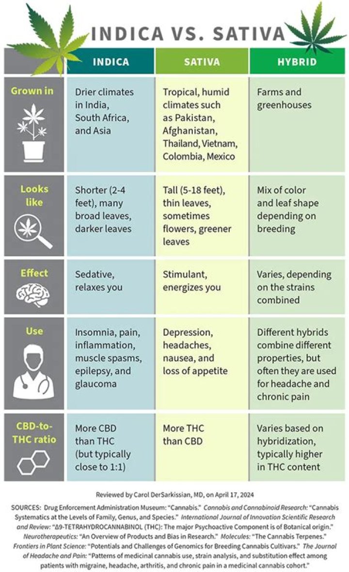 Is watermelon a sativa or indica?