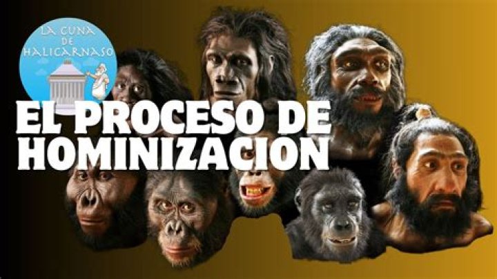 ¿Qué es el proceso de Hominizacion resumen?