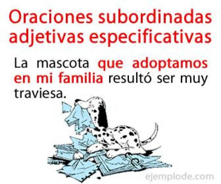 ¿Qué es una oracion adjetiva Especificativa?