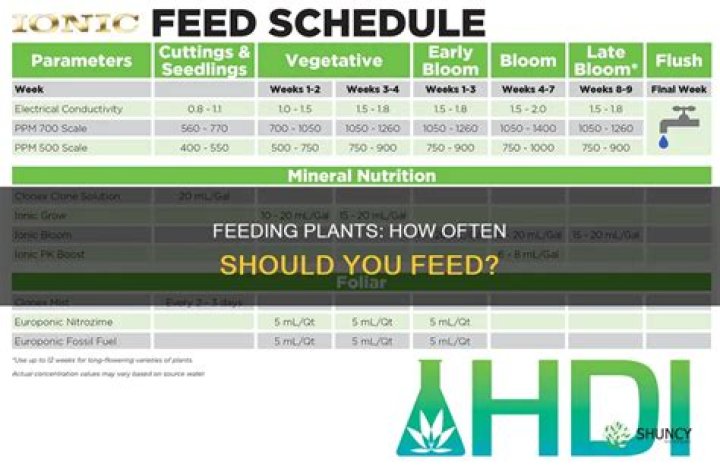 Should I feed my plants every time I water?
