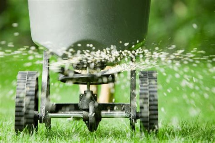 Should I fertilize my lawn now?