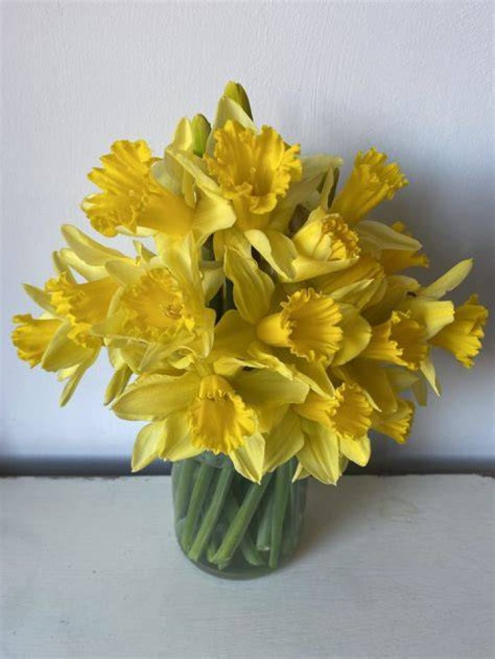 Should you put daffodils and tulips in the same vase?