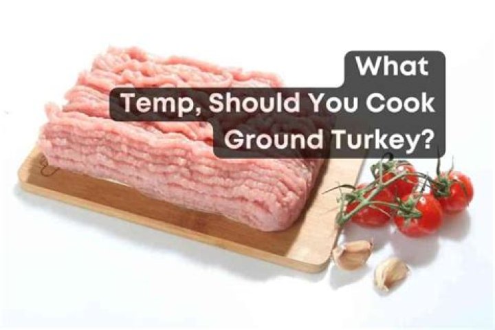 Should you Season ground turkey before cooking?