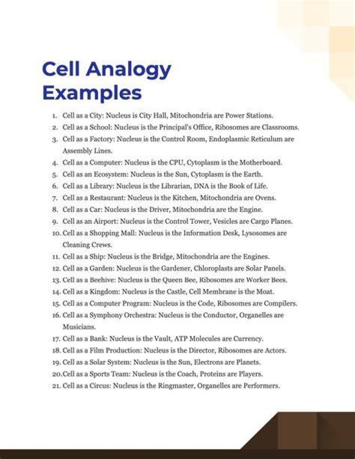 What's an analogy for cell membrane?