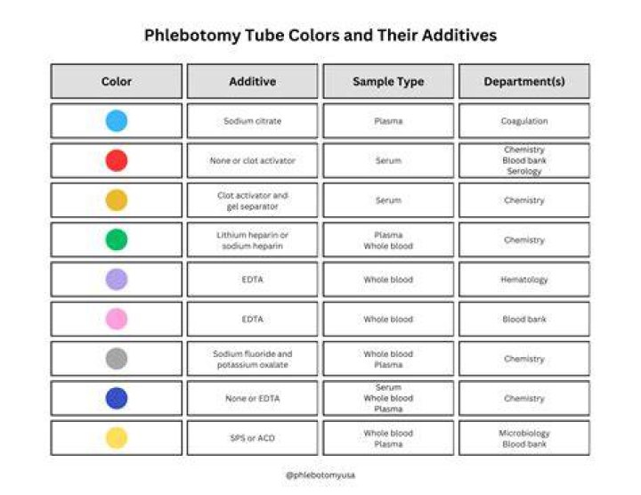 What's the difference between phlebotomy and phlebotomist?
