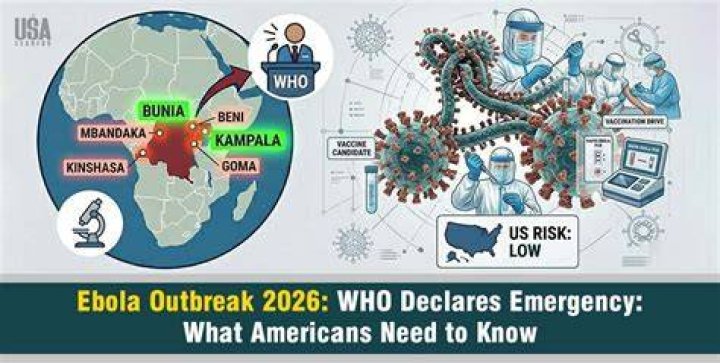 What animal is associated with Ebola virus outbreaks?