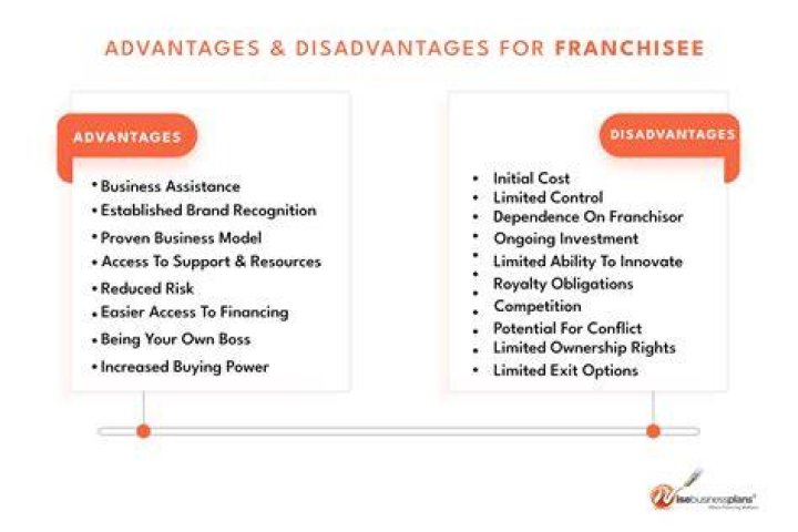 What are advantages of franchising?