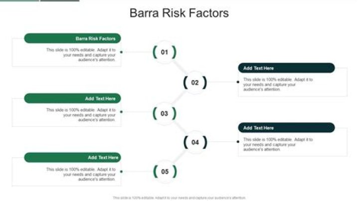 What are Barra factors?