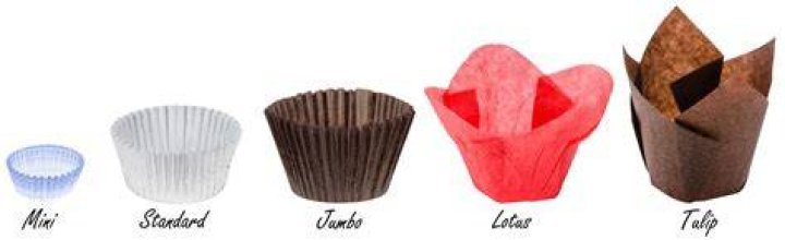 What are cupcake liners called?
