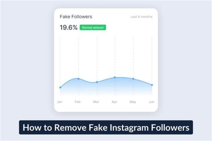 What are fake followers?