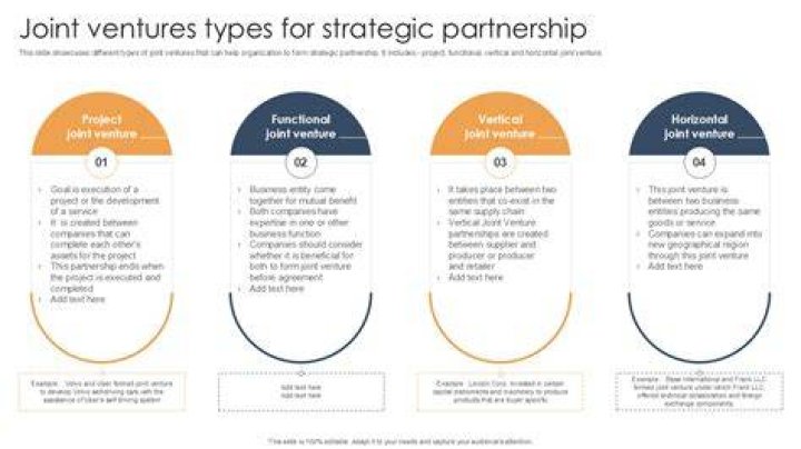 What are partners in joint venture called?