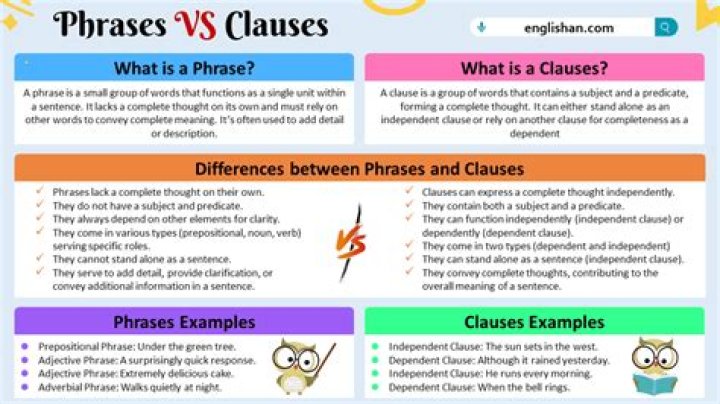What are phrases and clauses?