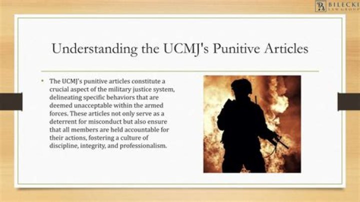 What are punitive articles? | ContextResponse.com