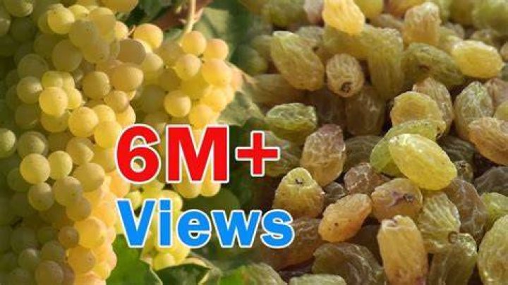 What are raisins made out of?