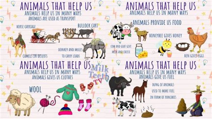 What are some animals that help humans?