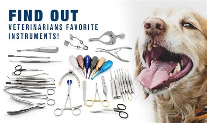 What are some tools veterinarians use?