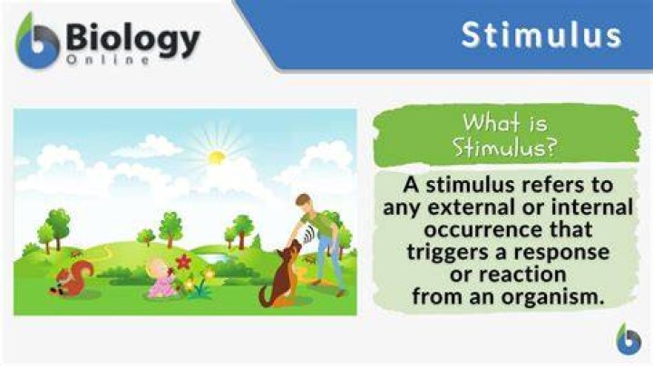 What are stimulus words? | ContextResponse.com