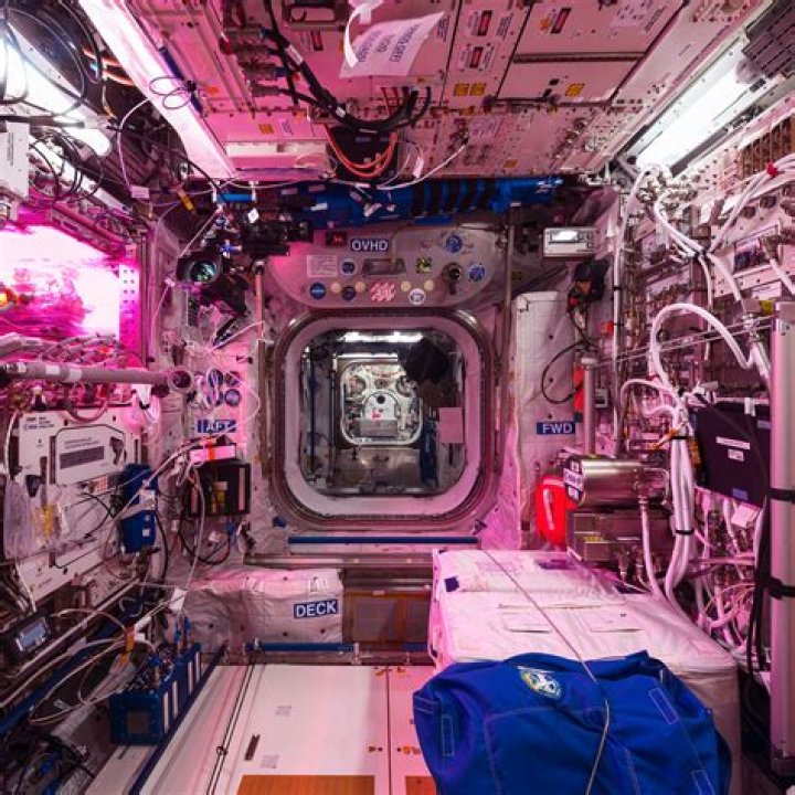 What are the 5 basic requirements to make a space station habitable?
