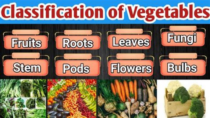 What are the 8 categories of vegetables?
