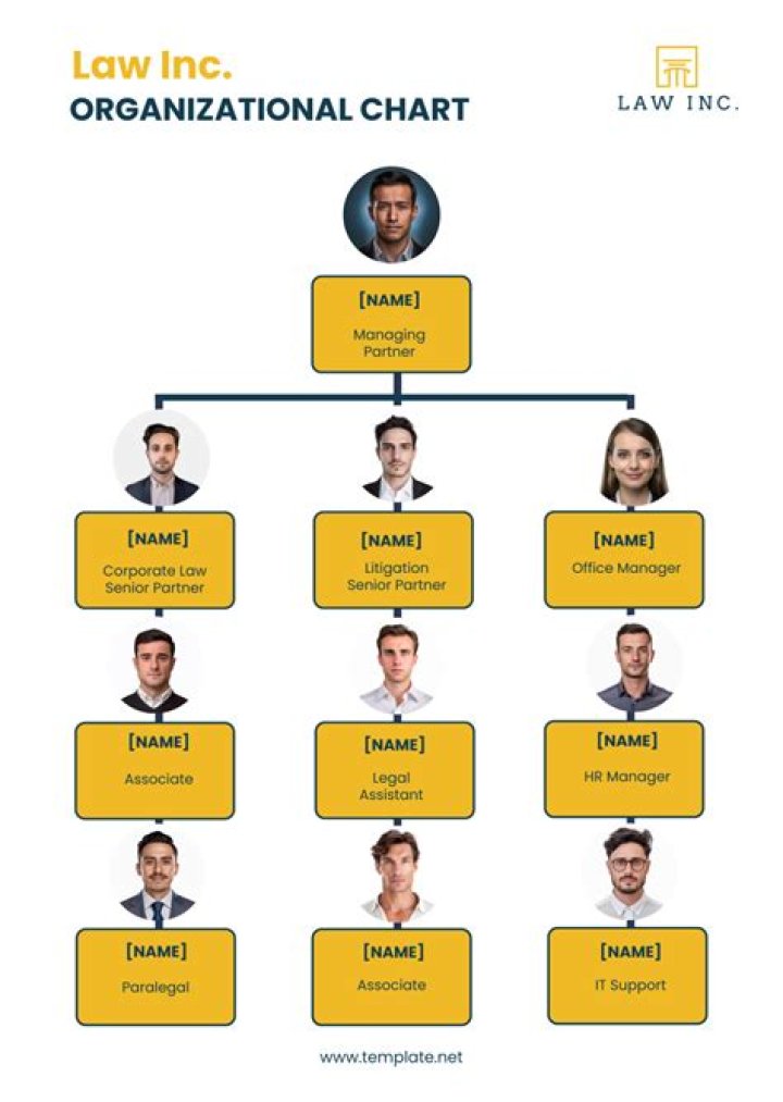 What are the basic organizational structures of law firms?