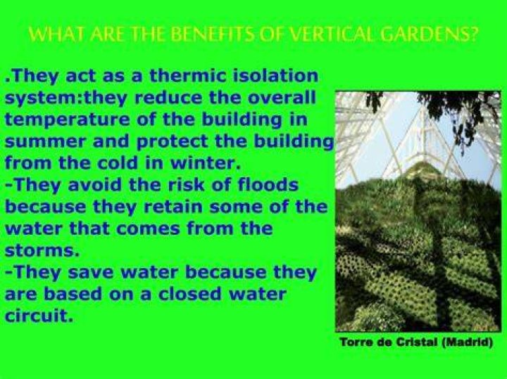 What are the benefits of vertical gardens?