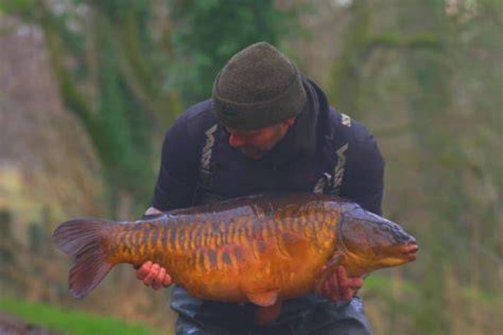 What are the best boilies to use for carp?