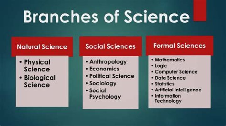What are the branches of polytechnic?