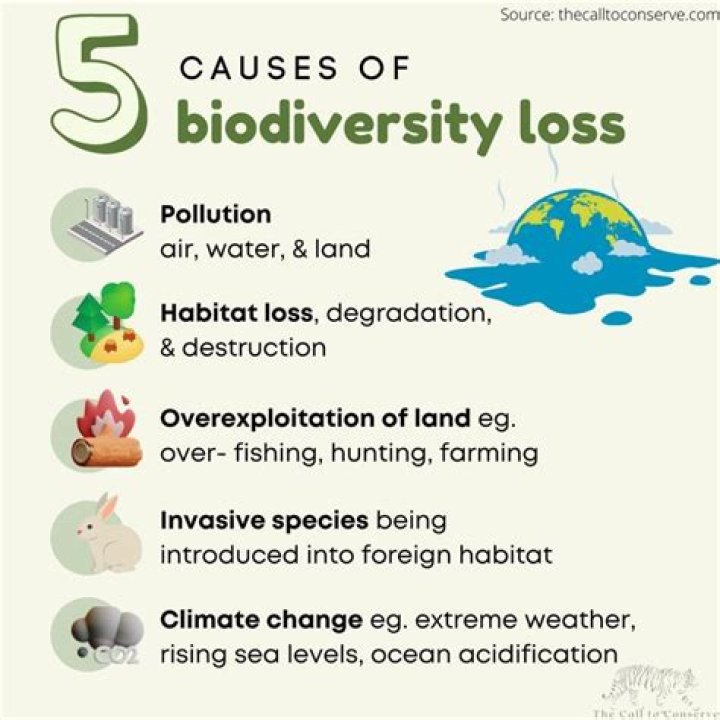 What are the causes for loss of biodiversity?