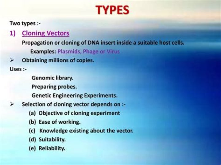 What are the characteristics of cloning vectors?