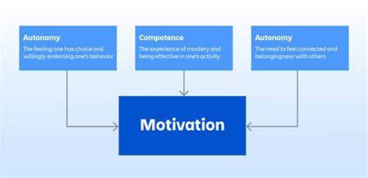 What are the concepts of motivation?