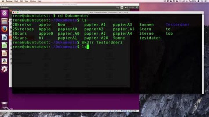 What are the different folders in Linux?