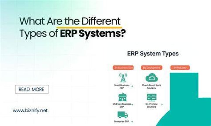 What are the different types of ERP systems?