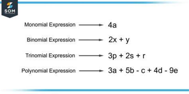 What are the different types of expressions in math?