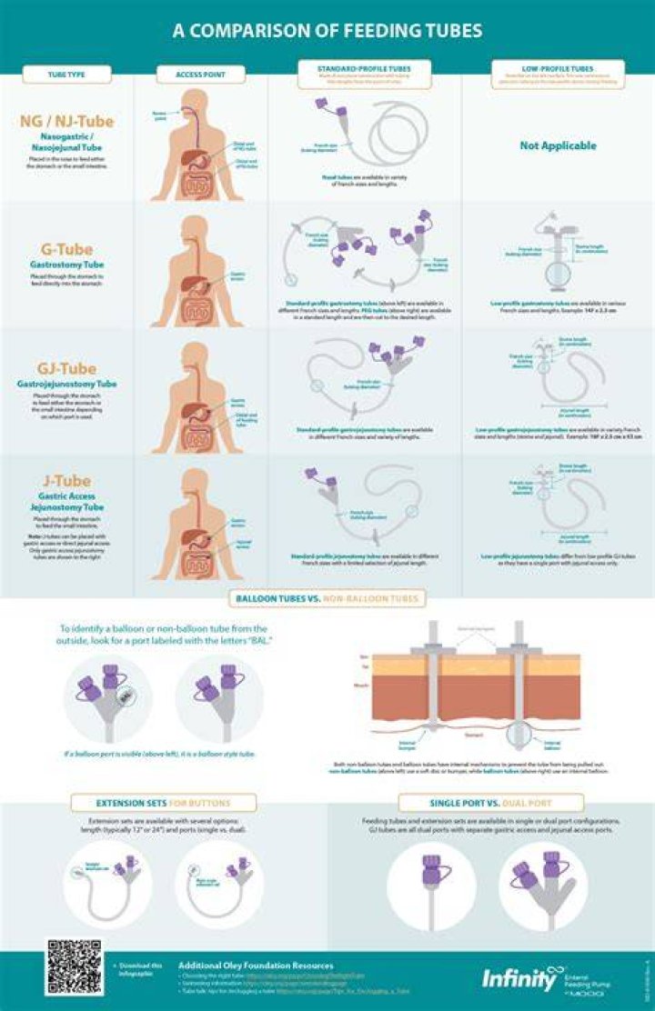 What are the different types of feeding modes?