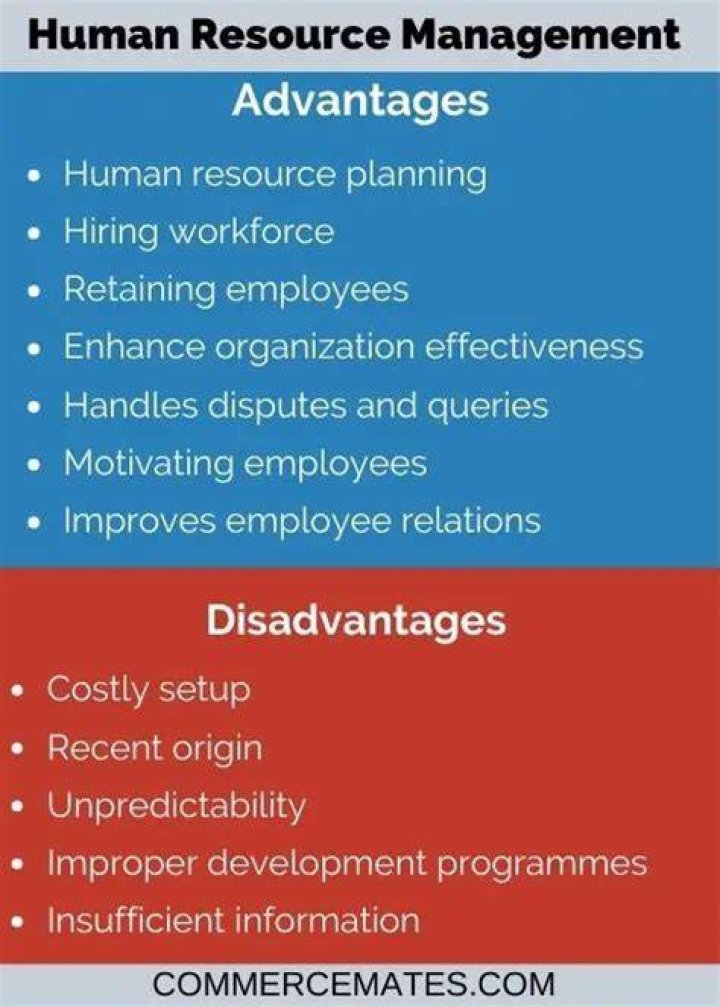 What are the disadvantages of human resource planning?