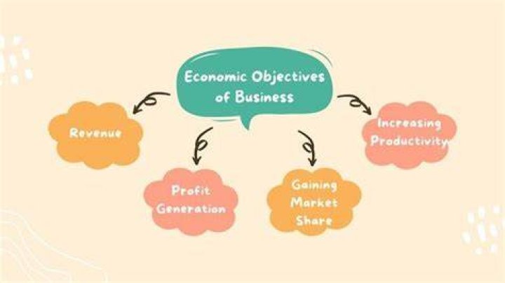 What are the economic objectives of business?