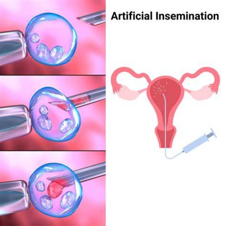 What are the effects of artificial insemination?