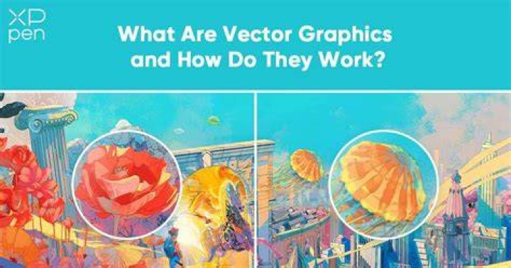 What are the features of vector graphics?
