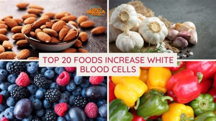 What are the foods to increase white blood cells?