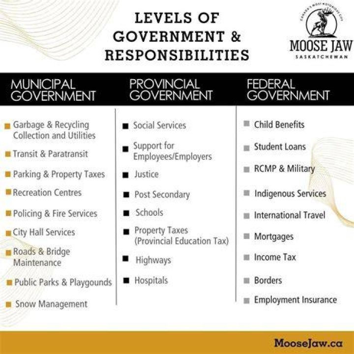 What are the four forms of municipal government?