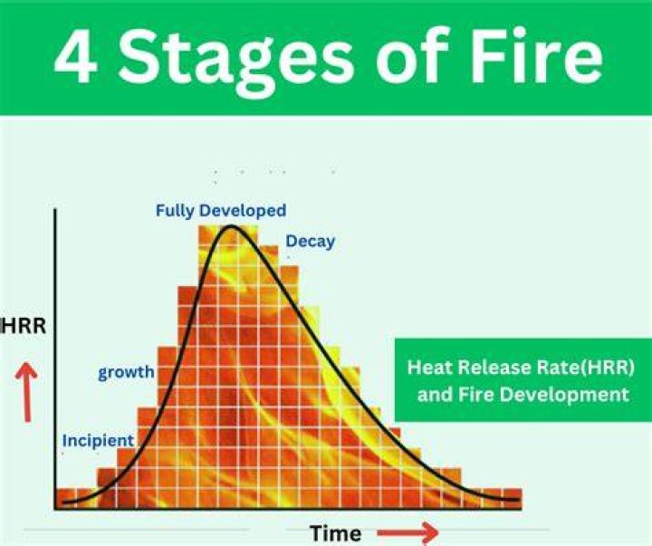 What are the four phases of combustion?