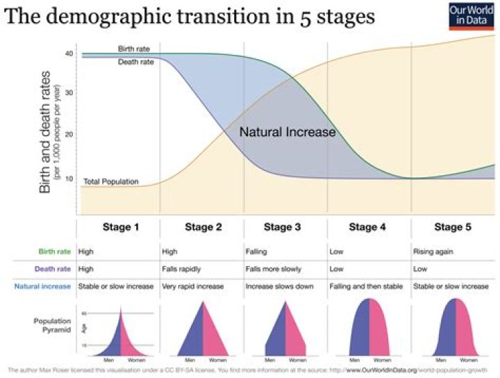 What are the four stages of the demographic transition?