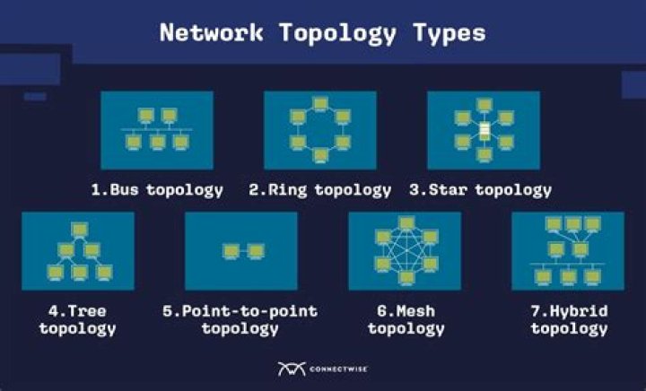What are the four types of network topologies?