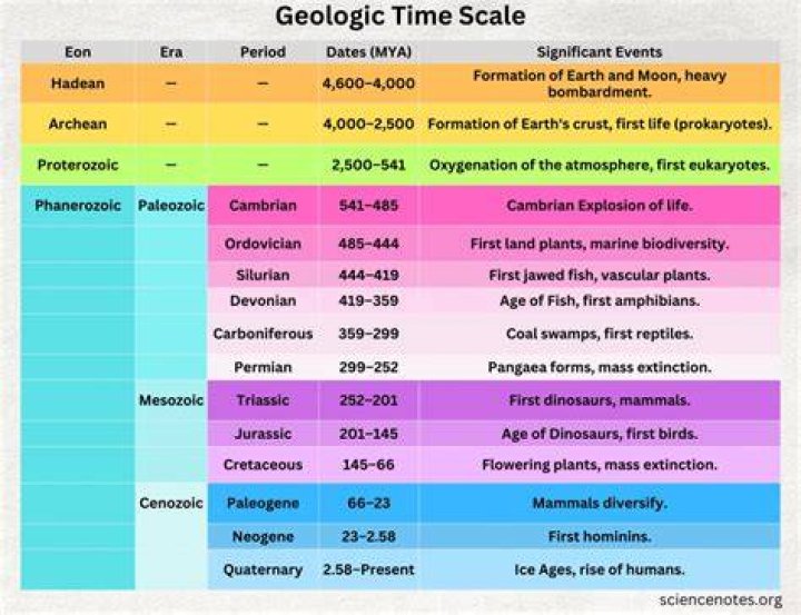 What are the geologic time scale divisions based on?