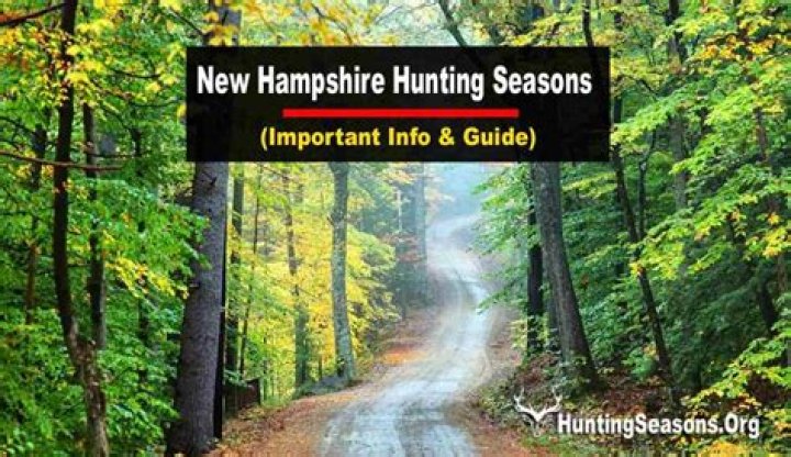 What are the hunting seasons in New Hampshire?